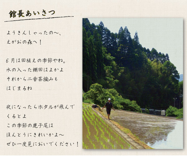 �ْ���������